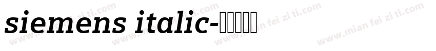 siemens italic字体转换